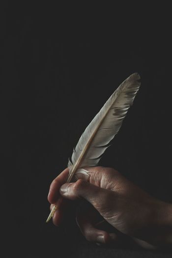 Close-up of hand holding feather over black background