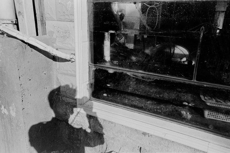Reflection of woman on glass window