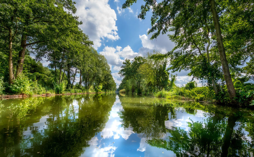 Scenic view of lake by trees against sky