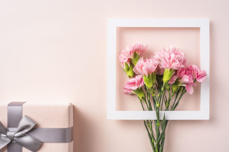 Close-up of pink flowers in vase against wall