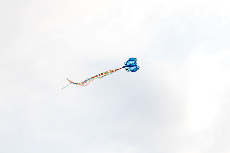 toy