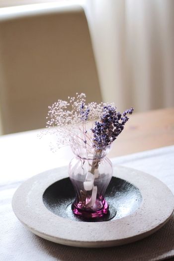 Lavenders in vase on table at home