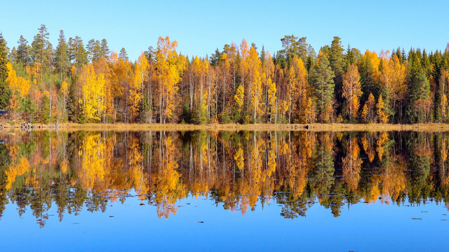 Reflection of trees in lake against sky during autumn