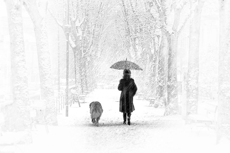 Full length of man walking in snow during winter