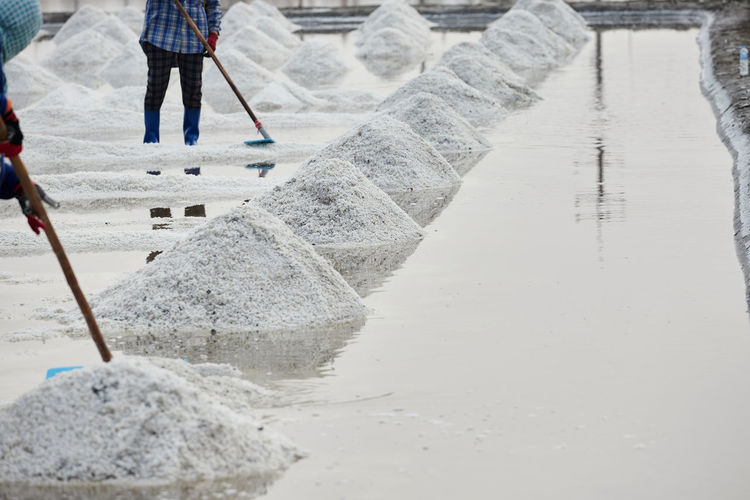 Worker using wooden rake for harvesting dried salt at salt pan