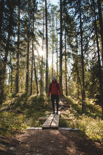 View of a grown man walking  in hiidenportti national park, sotkamo, kainuu region in finland. 