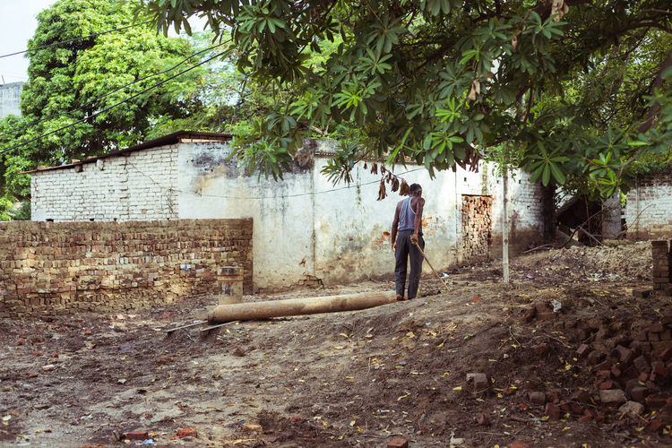 Rear view of men on house amidst trees and building