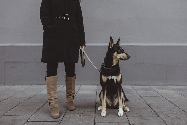 Low section of woman standing with dog on footpath in city