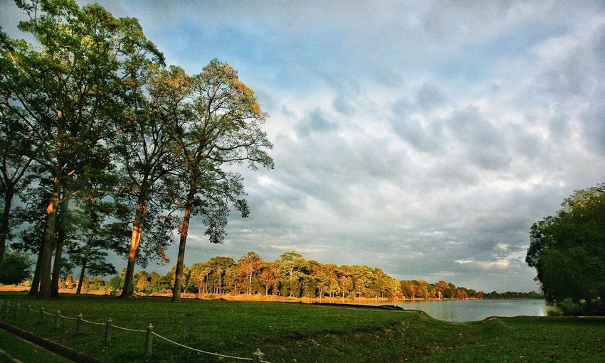 Scenic view of landscape against cloudy sky