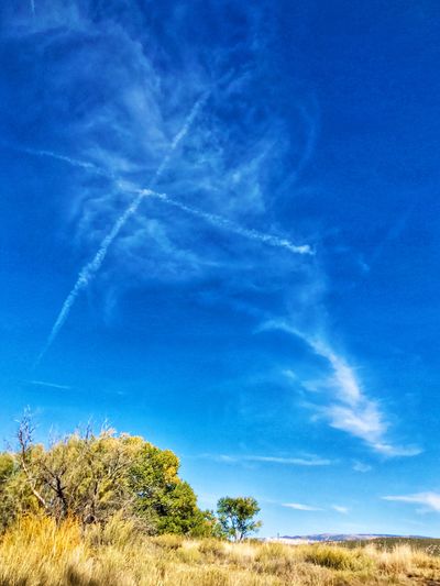 Low angle view of vapor trail in sky