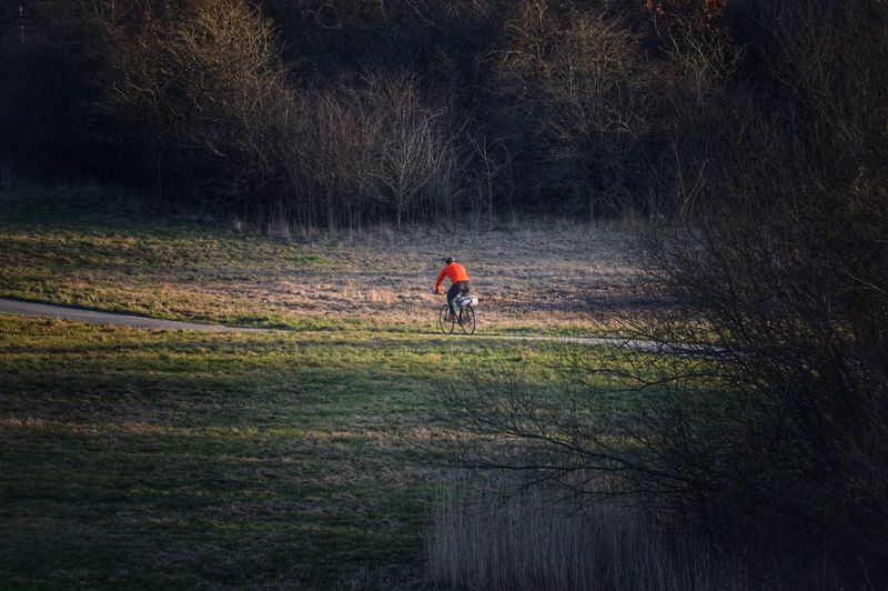 Distant view of man riding bicycle on field against bare trees