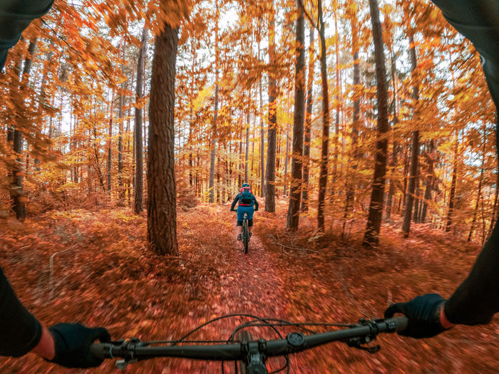 Gopro first person view following a woman mountain biking on footpath in forest in autumn.