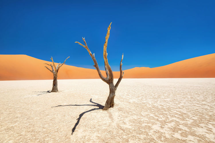 Dead vlei in naukluft national park, namibia, taken in january 2018