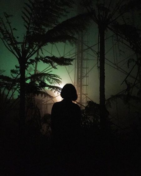 Rear view of silhouette man with arms raised at night
