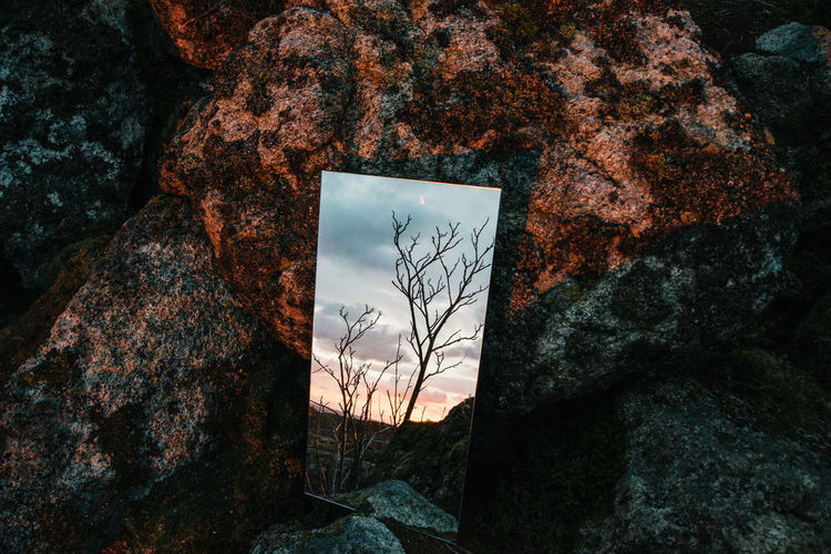Sunrise Reflected Bare Tree Close-up Conceptual Contemporary Day Mirror Nature No People Outdoors Reflection Rock - Object Sky Sunrise Tree BYOPaper! Fresh On Market 2017