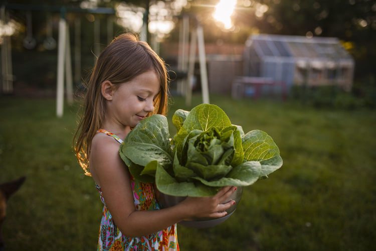 Girl looking at lettuce while carrying in bowl at backyard