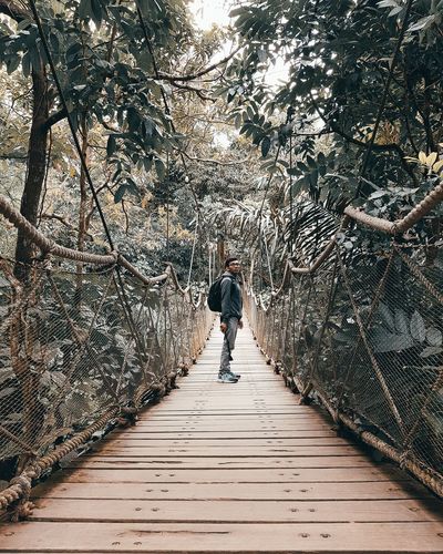 Side view of man standing on footbridge in forest