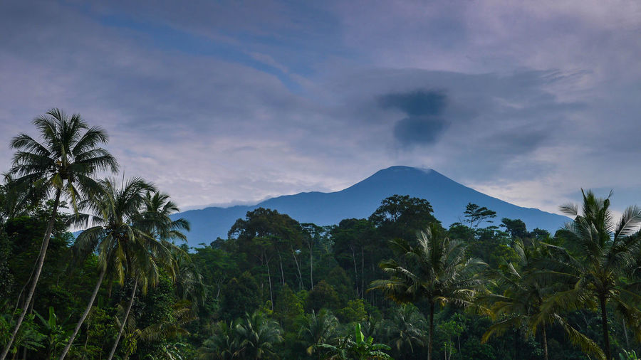 Tropical forest view and mount slamet with small eruption dramatic fine art landscape