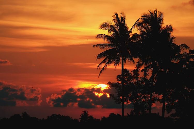 Low angle view of silhouette palm trees against romantic sky