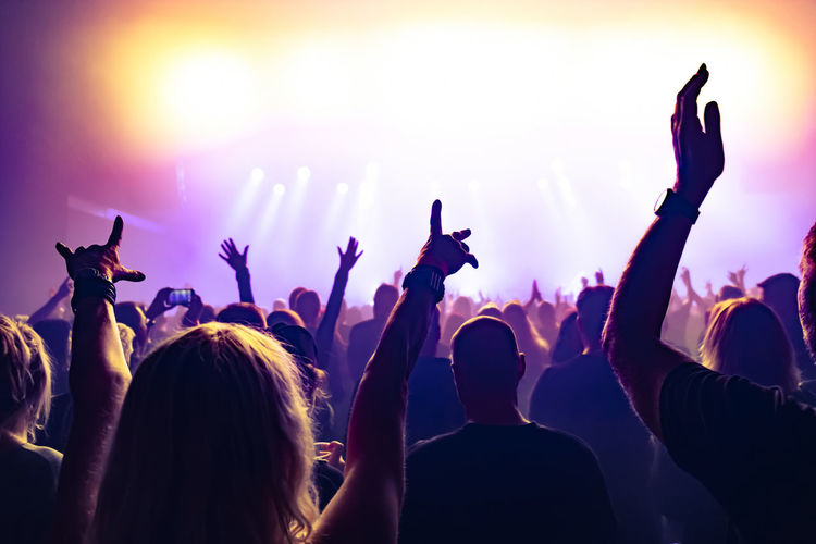 Rear view of people enjoying at music concert
