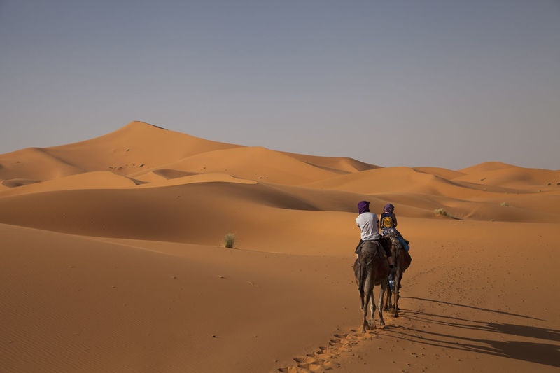 Rear view of couple riding on camel in desert