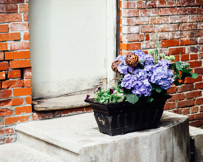 Flower pot outside house on steps