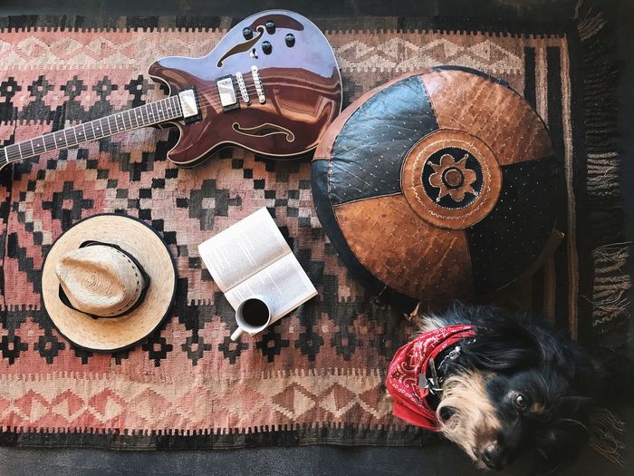 High angle view of dog and guitar