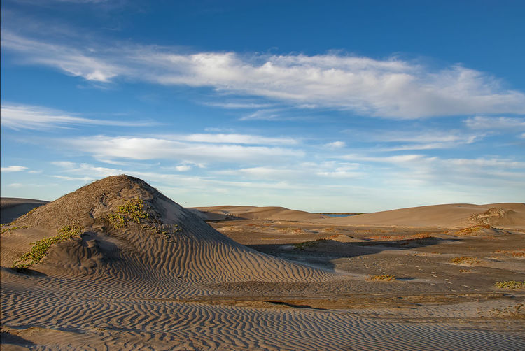 The late afternoon sun casts shadows across the sand dunes at adolfo lopez mateos in baja california