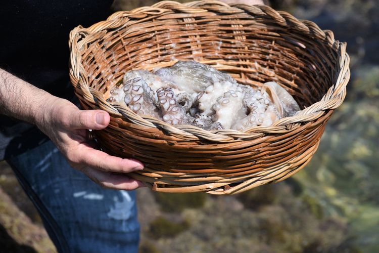 Close-up of man holding basket with octopus