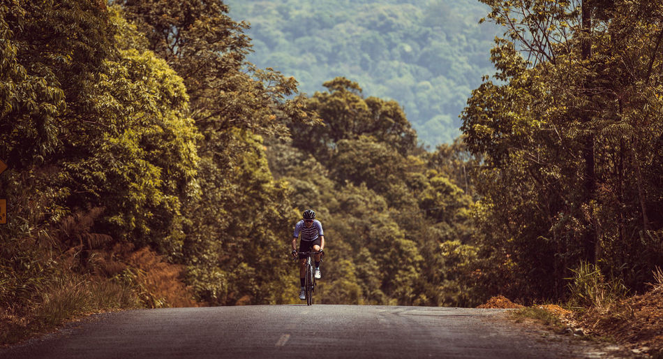 Man riding bicycle on road against tree