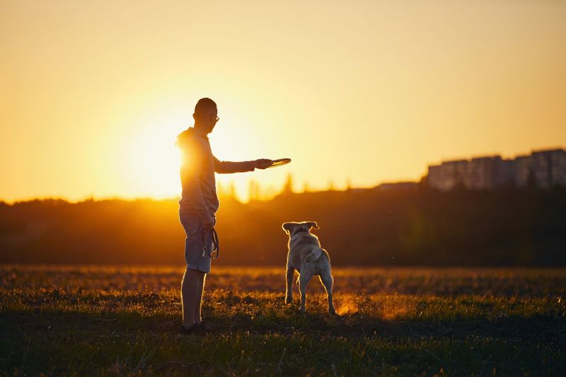 Man with dog on field during sunset