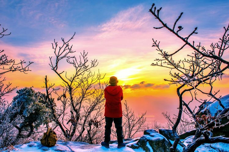 Rear view of man standing by bare trees against sky during sunset