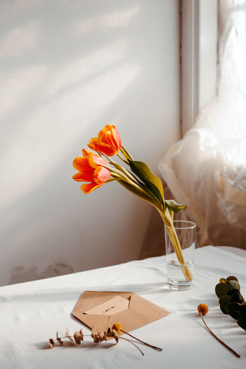 Blooming tulips in water placed on white tablecloth near opened envelope and window