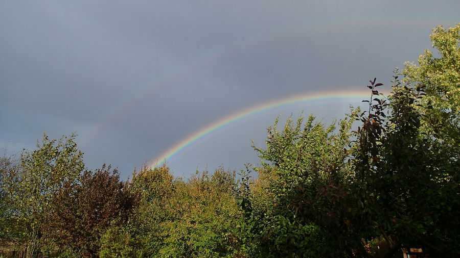 Low angle view of rainbow against sky