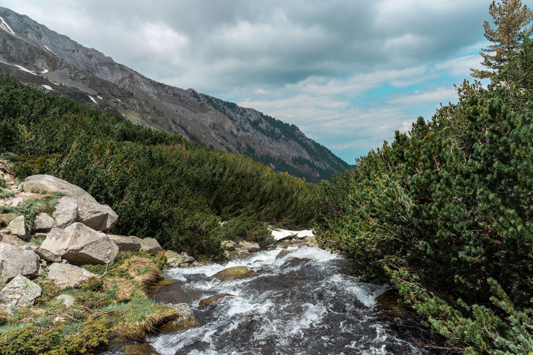 Landscape with river in pirin mountain near okoto lake, bulgaria