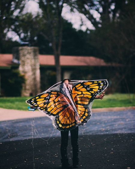 Close-up of butterfly on tree trunk
