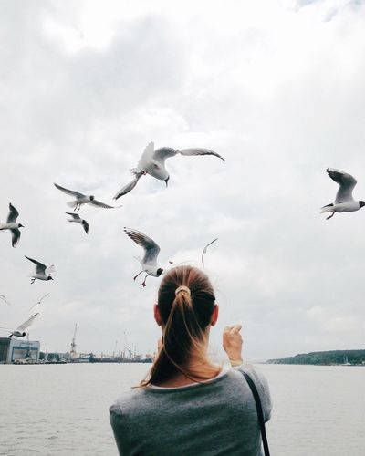 Rear view of woman with seagulls flying over sea