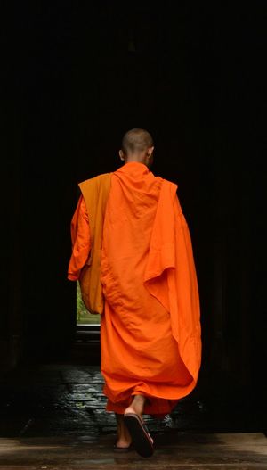Rear view of monk walking in temple