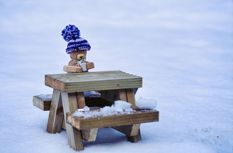 Wooden toy on snow on field against sky