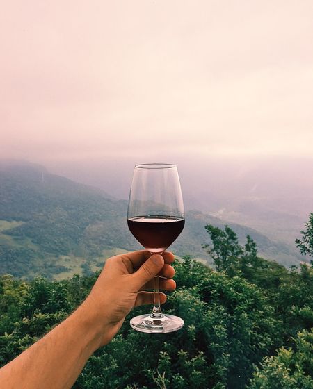 Close-up of hand holding wineglass against sky