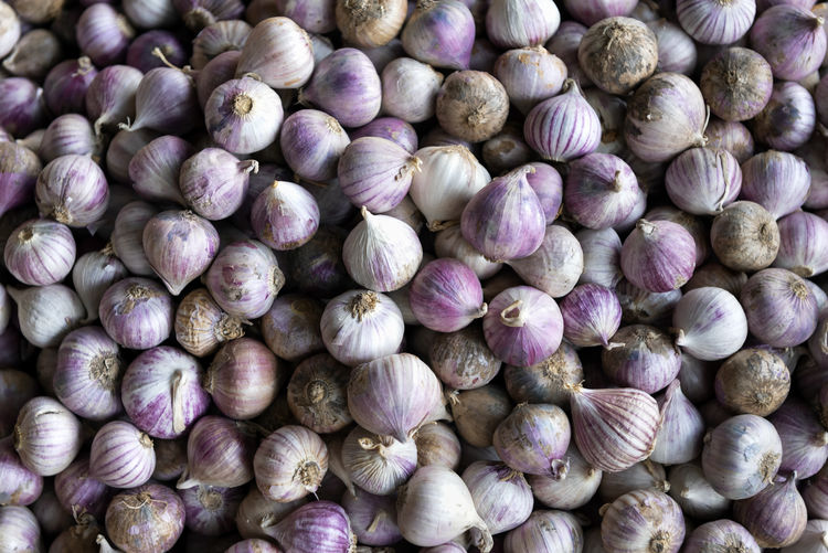 Solo garlic, also known as single clove garlic, monobulb garlic, single bulb garlic, or pearl garlic