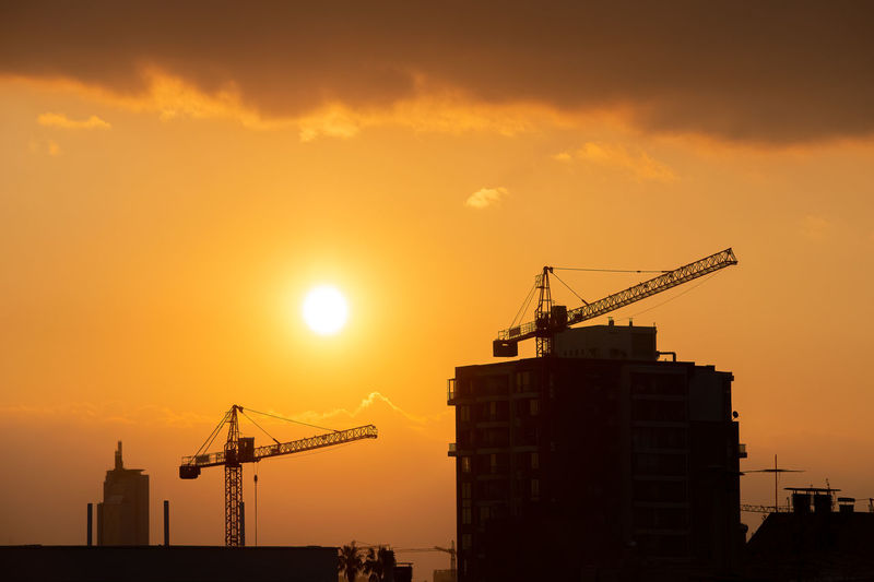 Cranes at sunset