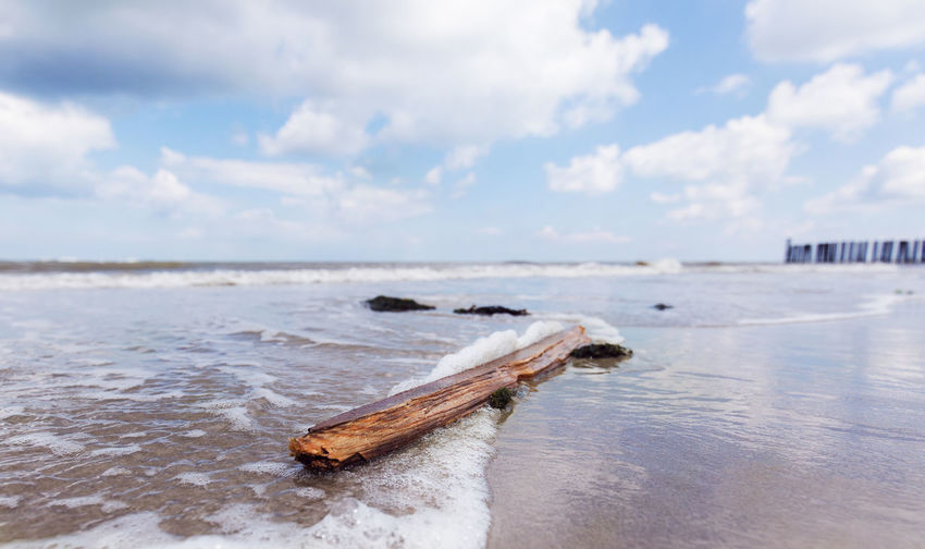 Driftwood at sea shore against sky