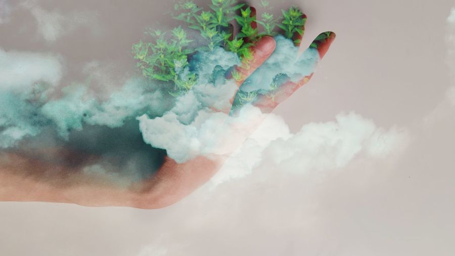 Digital composite image of hand holding a fresh green plants against clouds