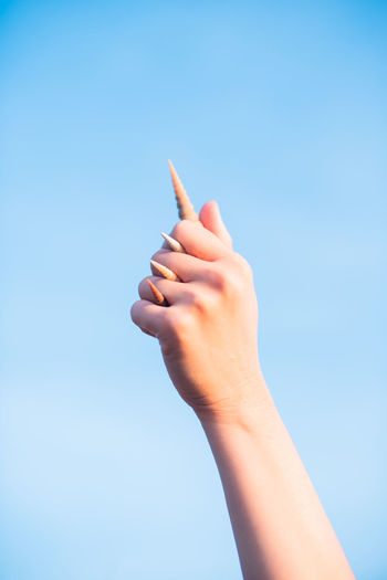 Cropped hand of person holding seashells against clear sky