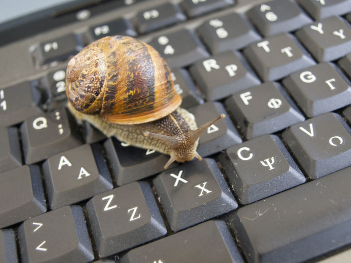 High angle view of snail on laptop