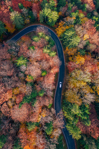 Topdown aerial photo of car on road winding through forest in colorful fall foliage, austria.