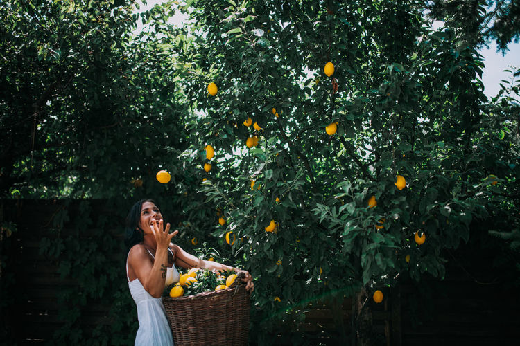 Young woman with fruits in basket on tree
