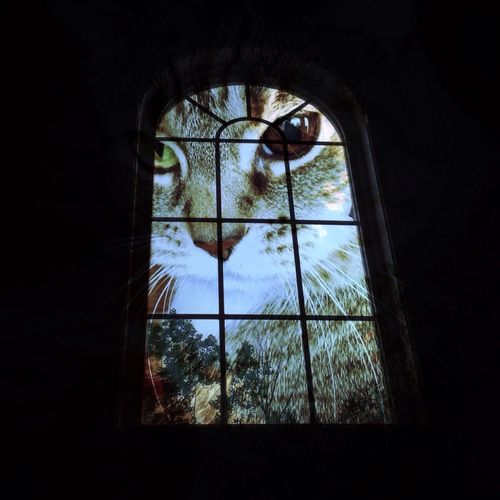 indoors