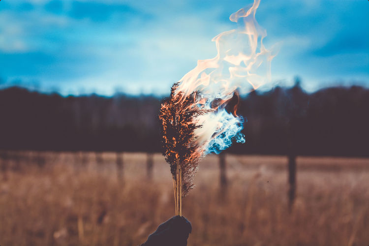 Cropped hand holding burning crops against sky